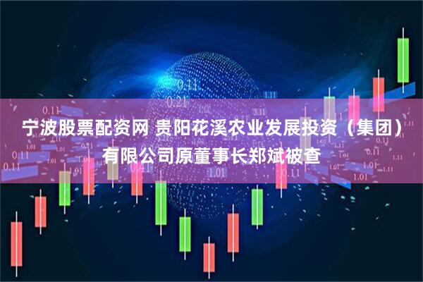 宁波股票配资网 贵阳花溪农业发展投资（集团）有限公司原董事长郑斌被查